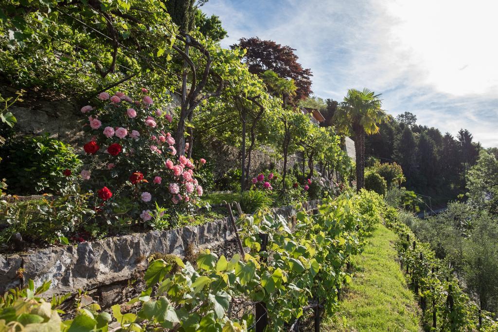 Villa Paradiso Канеро Ривиера Екстериор снимка